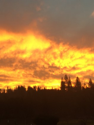 UNADJUSTEDNONRAW_thumb_34c