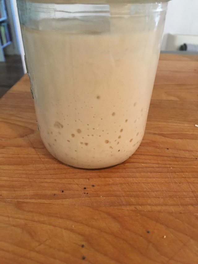 0EA75C1C-8663-4BAB-8DF2-C2F03AECCD4D