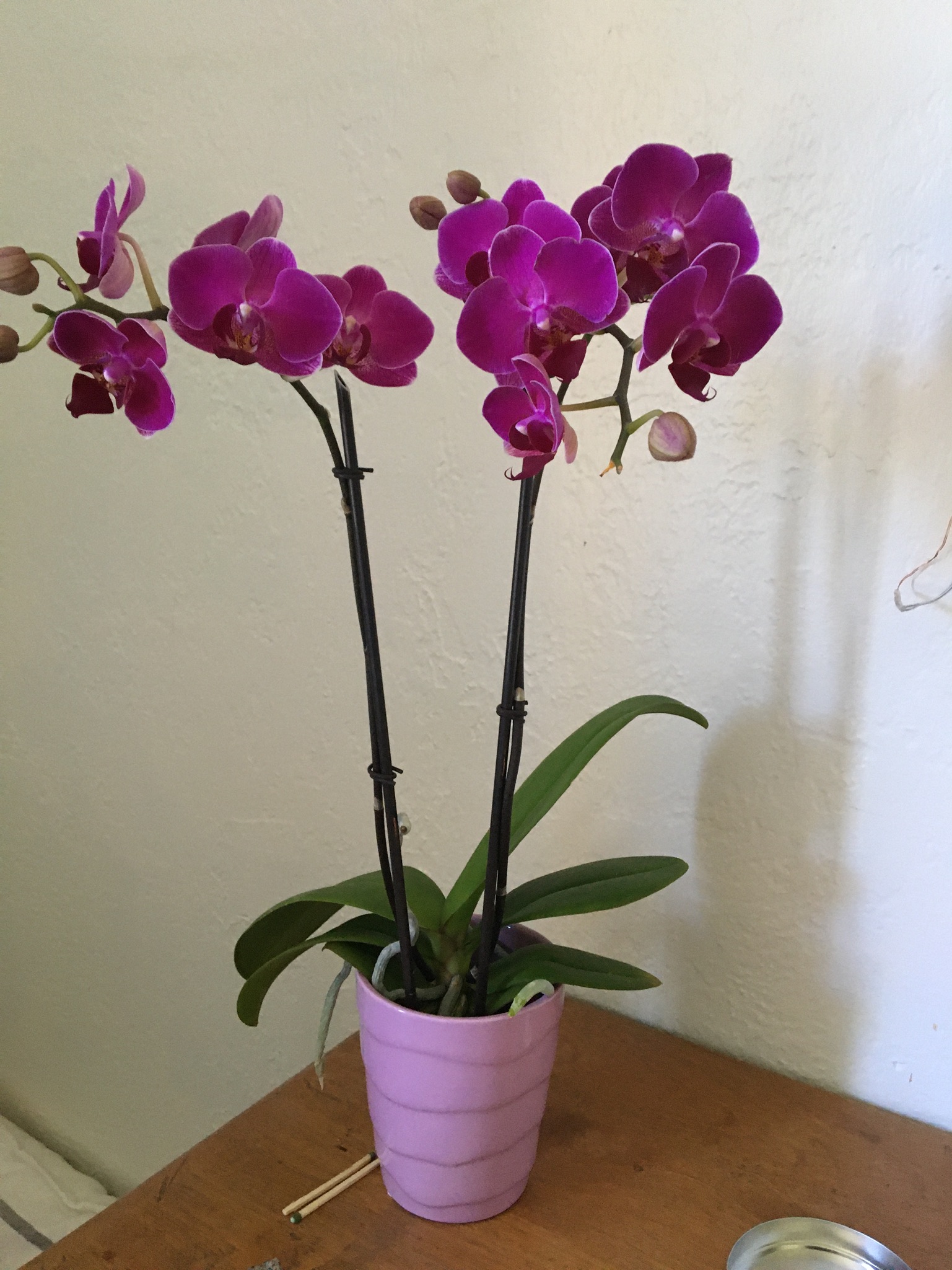 EF4577E6-694A-4B11-AA58-5AE189DF6D15